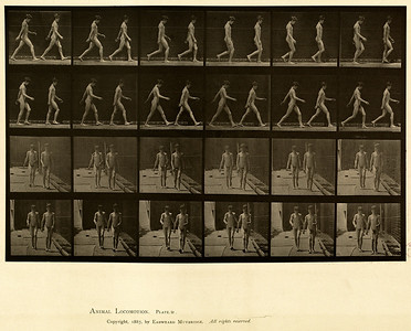 9 - Vol 1 - Plate 12